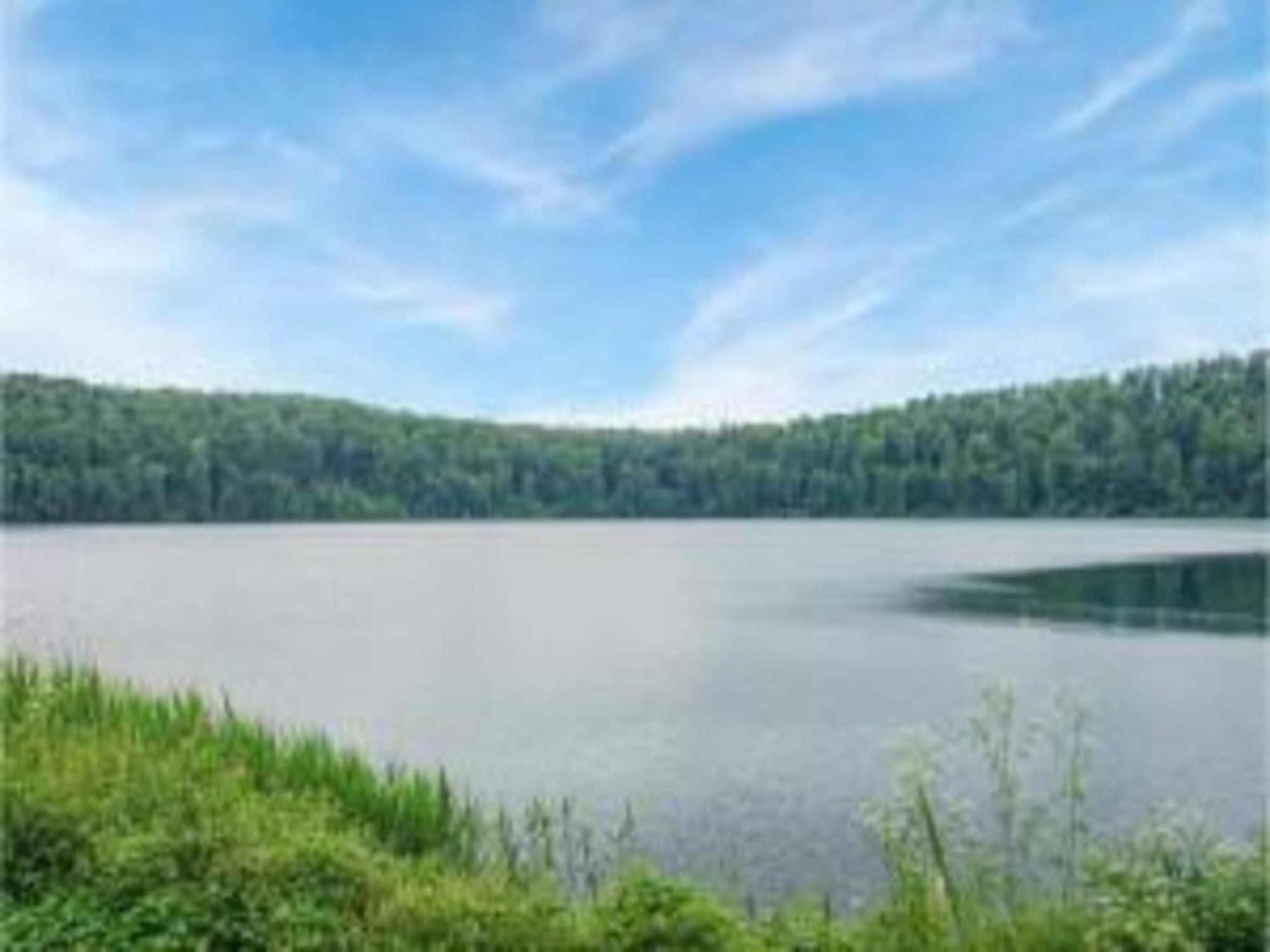 Cosy Holiday Home In Strotzb Sch With Sauna Strotzbüsch Екстериор снимка